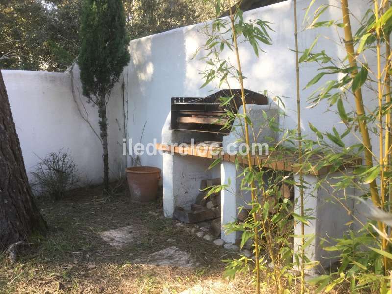 Photo 25 : JARDIN d'une maison située à La Couarde-sur-mer, île de Ré.