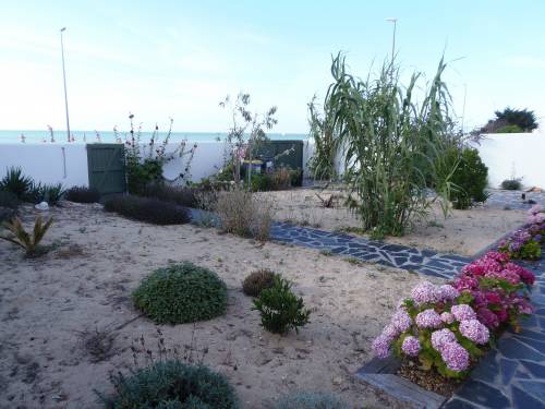 Photo 1 : NC d'une maison située à Rivedoux-Plage, île de Ré.