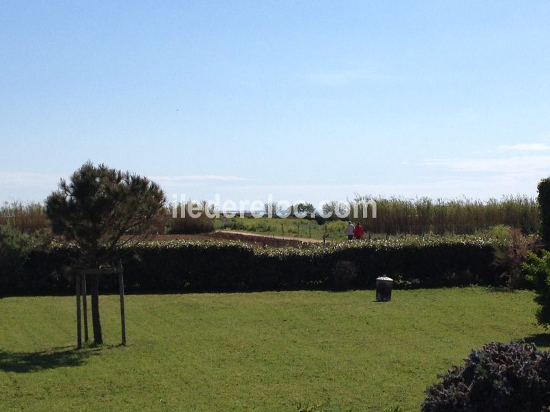 Photo 9 : JARDIN d'une maison située à Sainte-Marie-de-Ré, île de Ré.