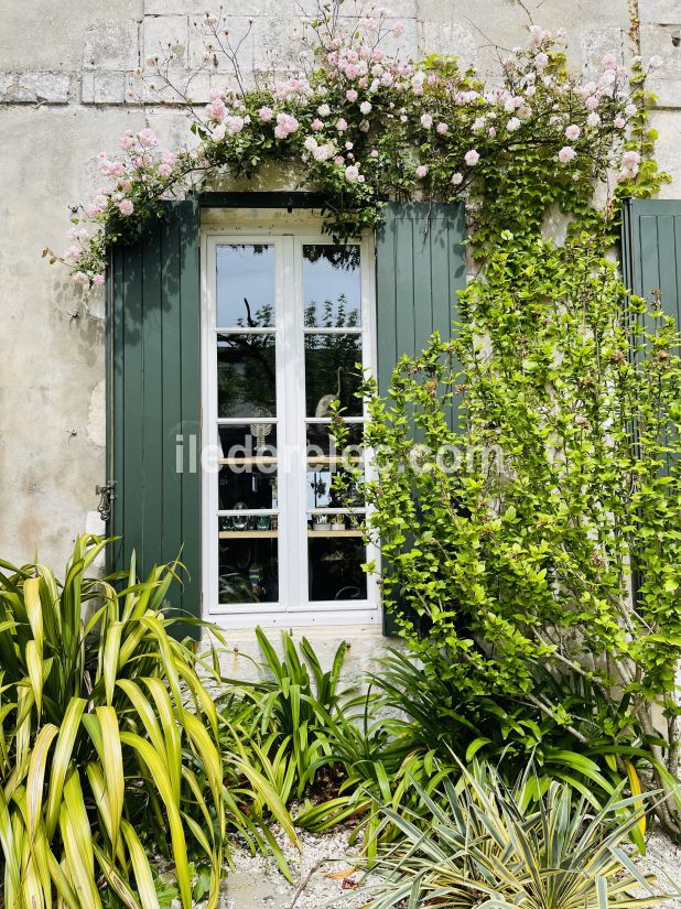 Photo 23 : NC d'une maison située à La Flotte-en-Ré, île de Ré.