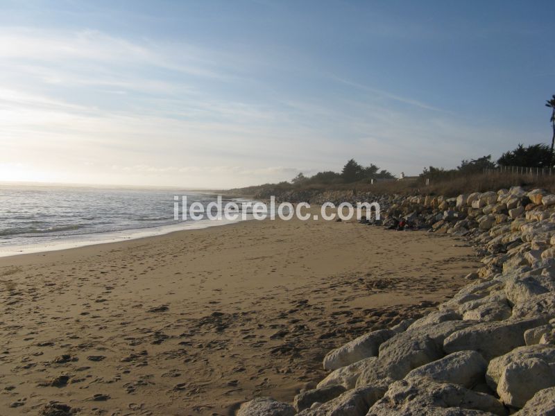 Photo 17 : NC d'une maison située à Ars en Ré, île de Ré.