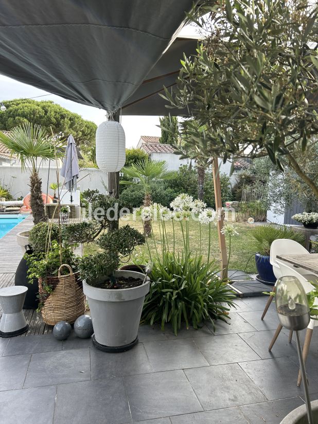 Photo 7 : TERRASSE d'une maison située à La Couarde-sur-mer, île de Ré.