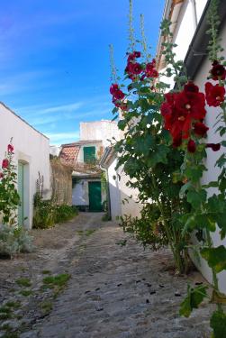 Photo 18 : AUTRE d'une maison située à La Flotte-en-Ré, île de Ré.