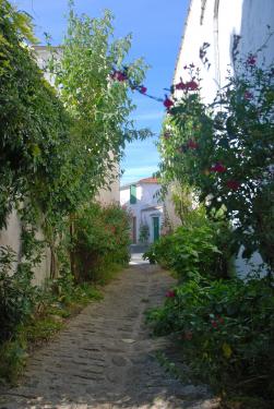 Photo 17 : AUTRE d'une maison située à La Flotte-en-Ré, île de Ré.