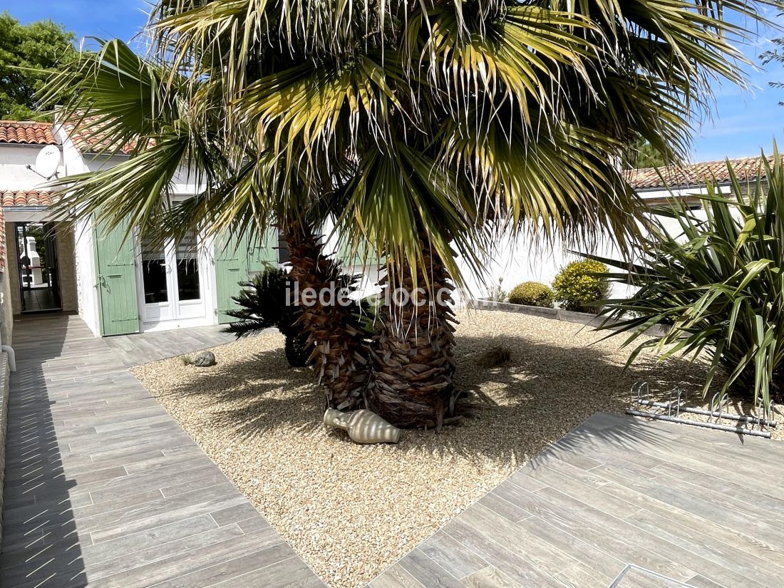 Photo 1 : JARDIN d'une maison située à Saint-Martin, île de Ré.