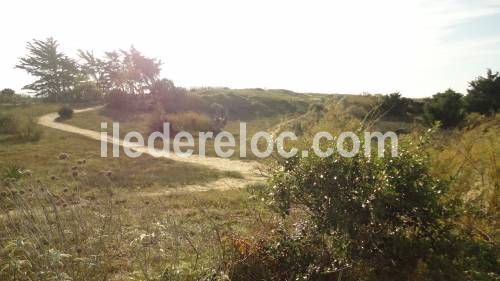 Photo 26 : AUTRE d'une maison située à Le Bois-Plage-en-Ré, île de Ré.