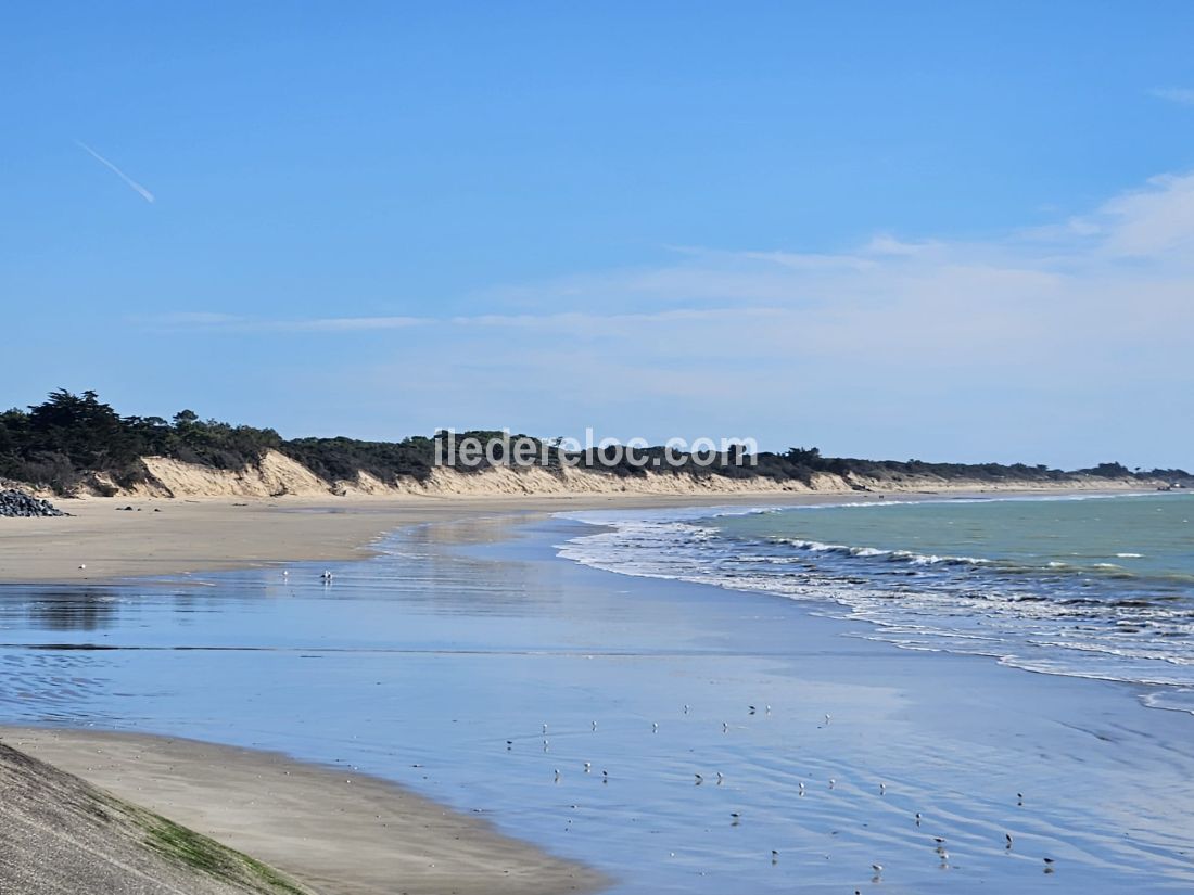 Photo 15 : AUTRE d'une maison situ&eacute;e &agrave; Les Portes-en-R&eacute;, &icirc;le de R&eacute;.