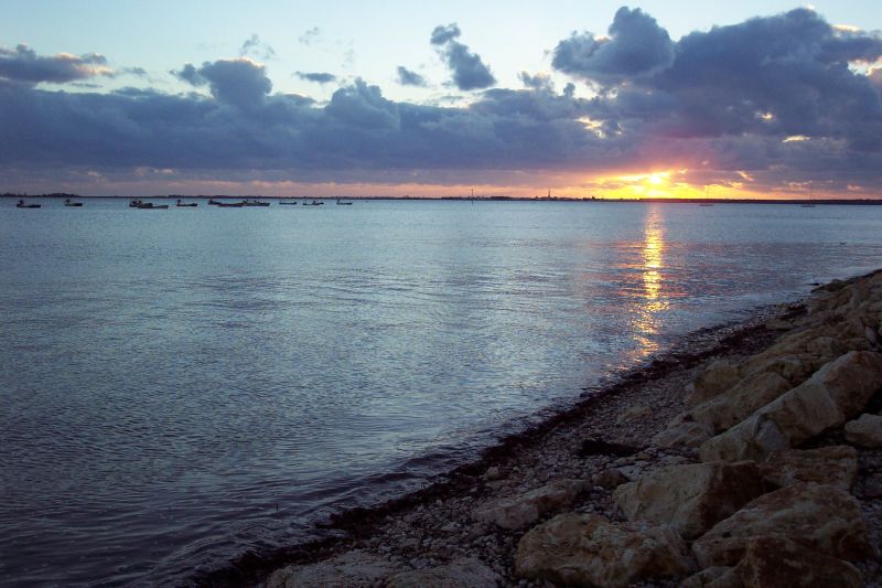 Photo 15 : AUTRE d'une maison située à Les Portes-en-Ré, île de Ré.