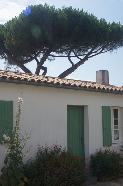 Photo 31 : NC d'une maison située à La Flotte, île de Ré.