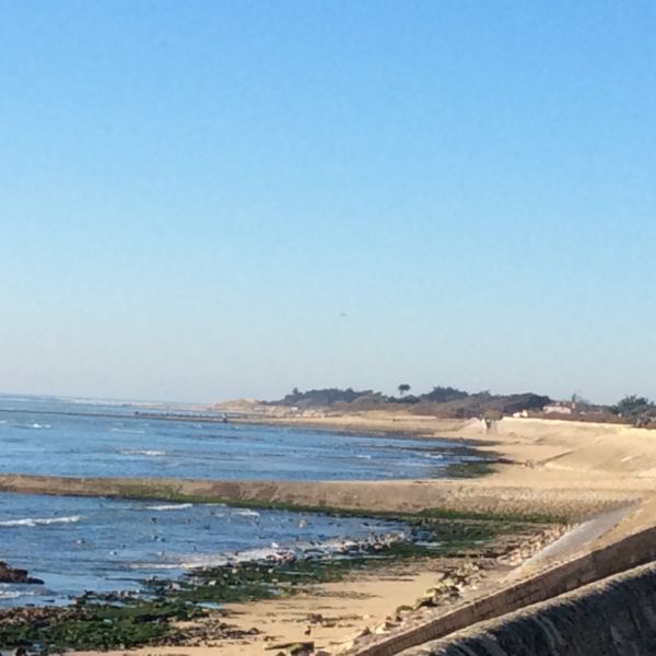 Photo 19 : NC d'une maison située à Ars en Ré, île de Ré.