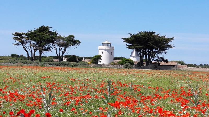 Photo 18 : NC d'une maison située à Ars en Ré, île de Ré.