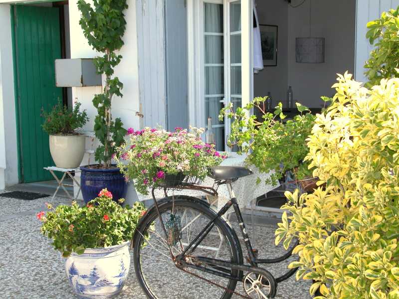 Photo 3 : EXTERIEUR d'une maison située à Rivedoux-Plage, île de Ré.