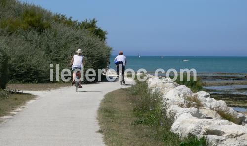 Photo 17 : NC d'une maison située à La Couarde, île de Ré.