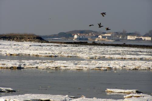 Photo 9 : NC d'une maison située à La Couarde-sur-mer, île de Ré.