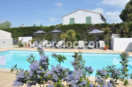 Photo 2 : PISCINE d'une maison située à La Couarde-sur-mer, île de Ré.