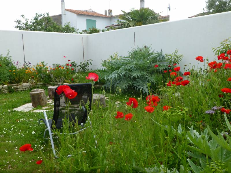 Photo 3 : JARDIN d'une maison située à La Couarde, île de Ré.