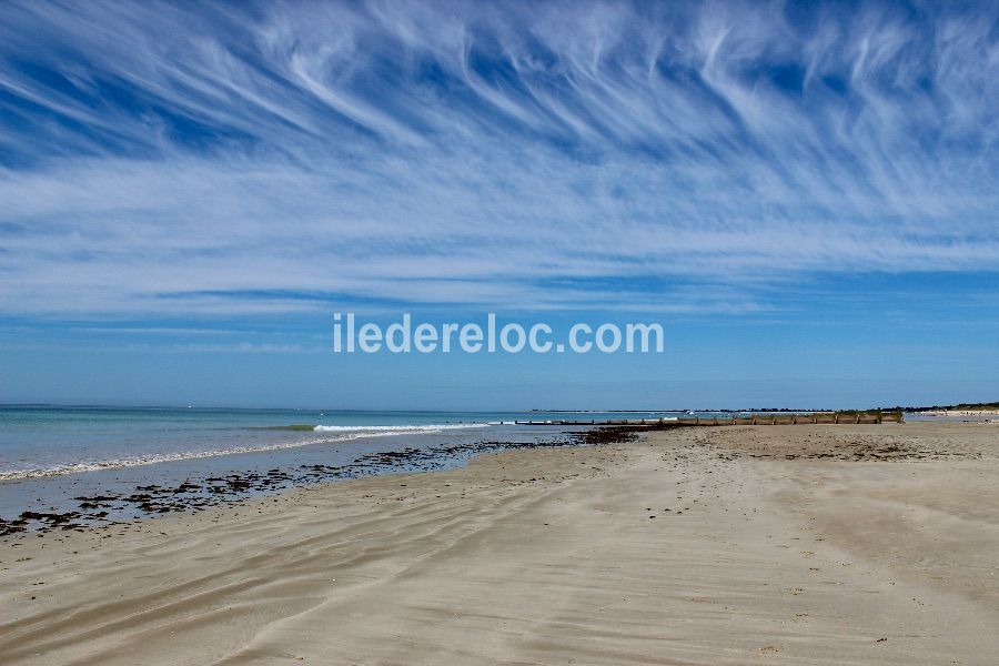 Photo 9 : NC d'une maison située à La Couarde-sur-mer, île de Ré.