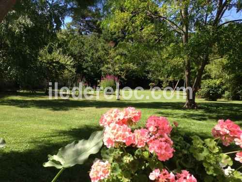 Photo 29 : JARDIN d'une maison située à Le Bois-Plage-en-Ré, île de Ré.