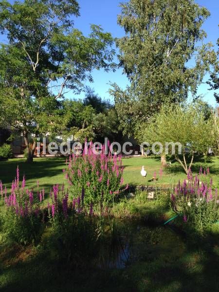 Photo 37 : JARDIN d'une maison située à Le Bois-Plage-en-Ré, île de Ré.