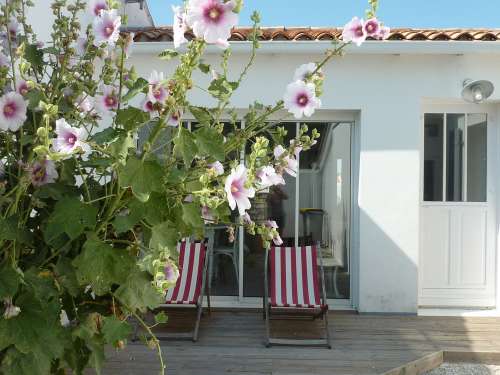 Photo 4 : EXTERIEUR d'une maison située à Sainte-Marie-de-Ré, île de Ré.