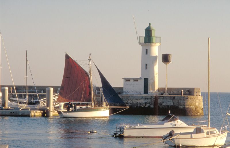 Photo 12 : AUTRE d'une maison située à La Flotte-en-Ré, île de Ré.