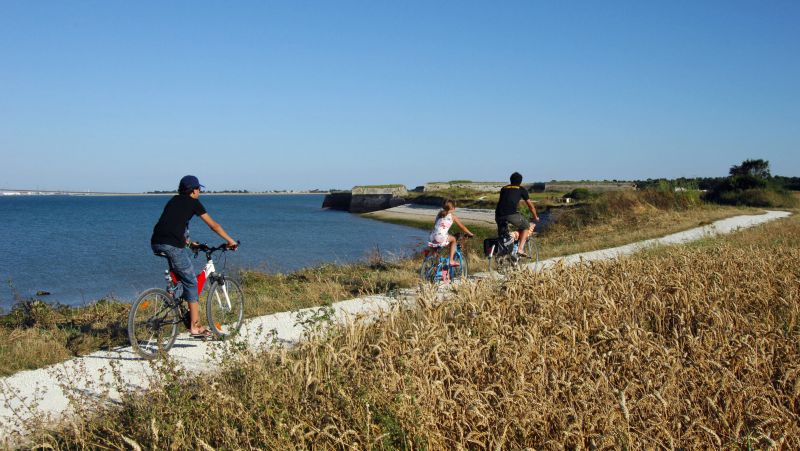 Photo 11 : AUTRE d'une maison située à La Flotte-en-Ré, île de Ré.