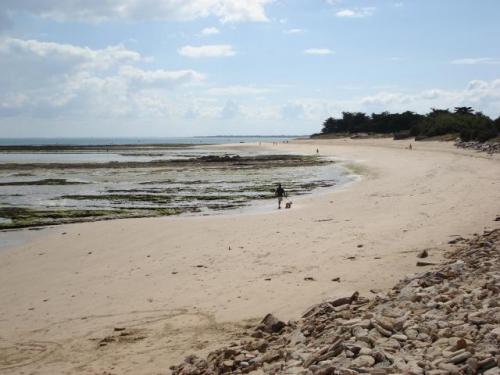 Photo 3 : NC d'une maison située à Les Portes, île de Ré.