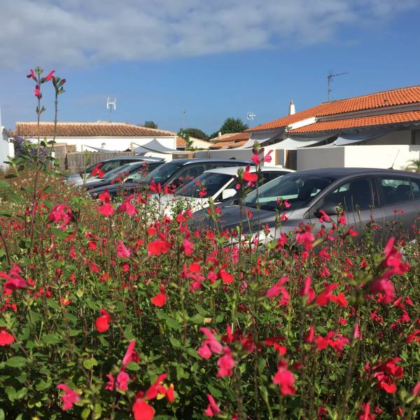 Photo 14 : EXTERIEUR d'une maison située à La Flotte-en-Ré, île de Ré.