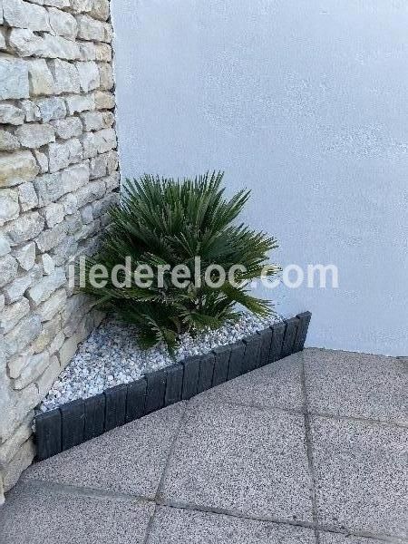 Photo 20 : TERRASSE d'une maison située à Rivedoux-Plage, île de Ré.