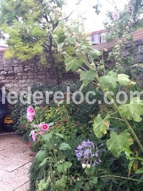 Photo 6 : JARDIN d'une maison située à Loix, île de Ré.