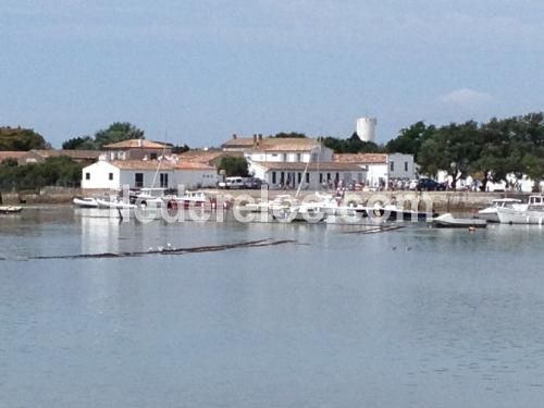 Photo 16 : AUTRE d'une maison située à Loix, île de Ré.