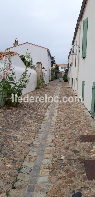 Photo 5 : NC d'une maison située à Saint-Martin-de-Ré, île de Ré.