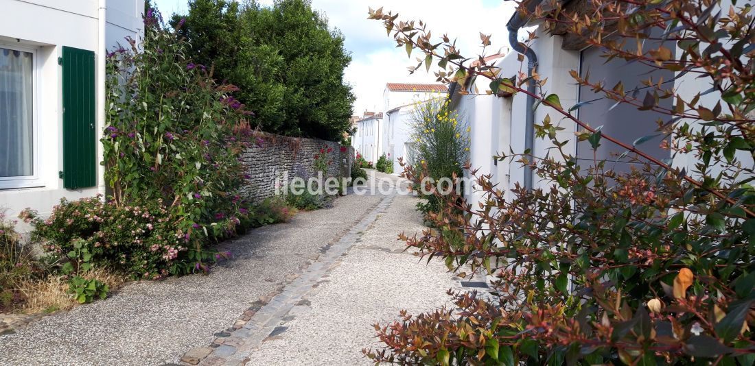 Photo 6 : AUTRE d'une maison située à Saint-Martin-de-Ré, île de Ré.