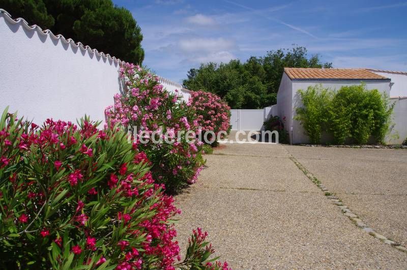 Photo 20 : EXTERIEUR d'une maison située à La Couarde-sur-mer, île de Ré.