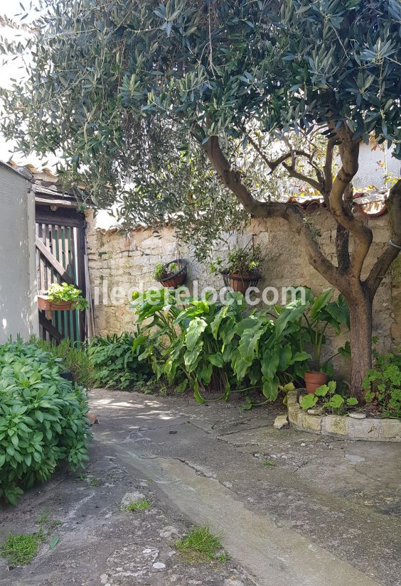 Photo 3 : EXTERIEUR d'une maison située à Ars en Ré, île de Ré.