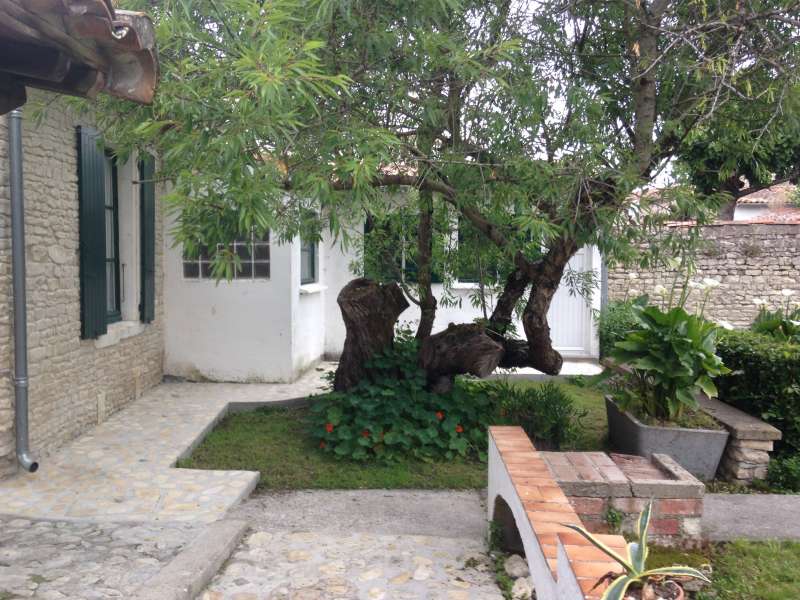 Photo 1 : JARDIN d'une maison située à Le Bois-Plage-en-Ré, île de Ré.