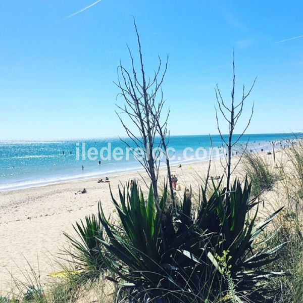 Photo 22 : NC d'une maison située à Le Bois-Plage-en-Ré, île de Ré.