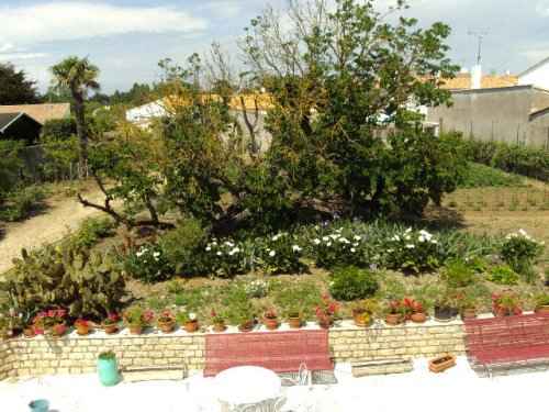 Photo 2 : JARDIN d'une maison située à Le Bois-Plage-en-Ré, île de Ré.