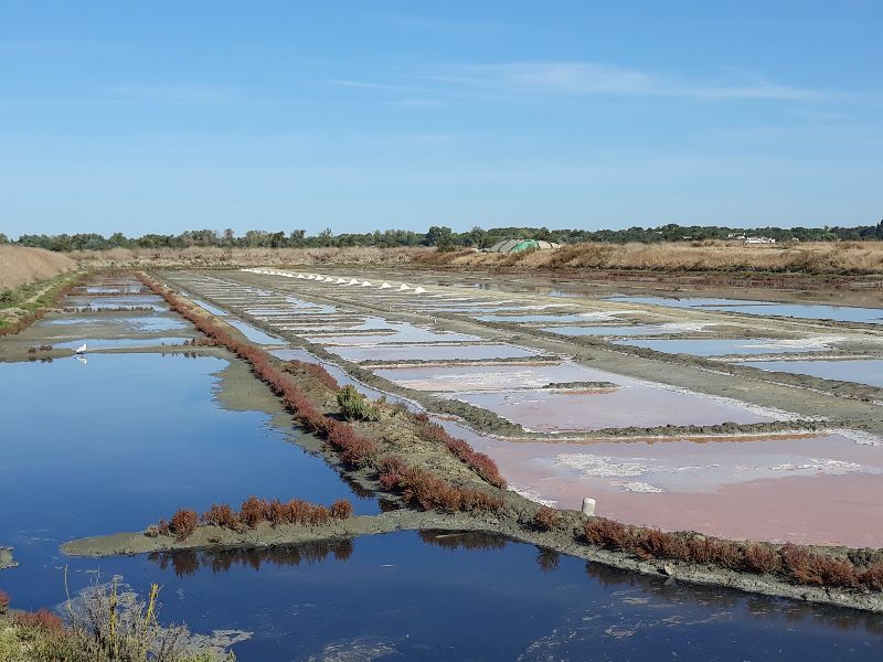 Photo 12 : AUTRE d'une maison située à Ars en Ré, île de Ré.