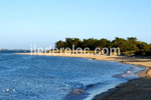 Photo 1 : NC d'une maison située à Les Portes, île de Ré.