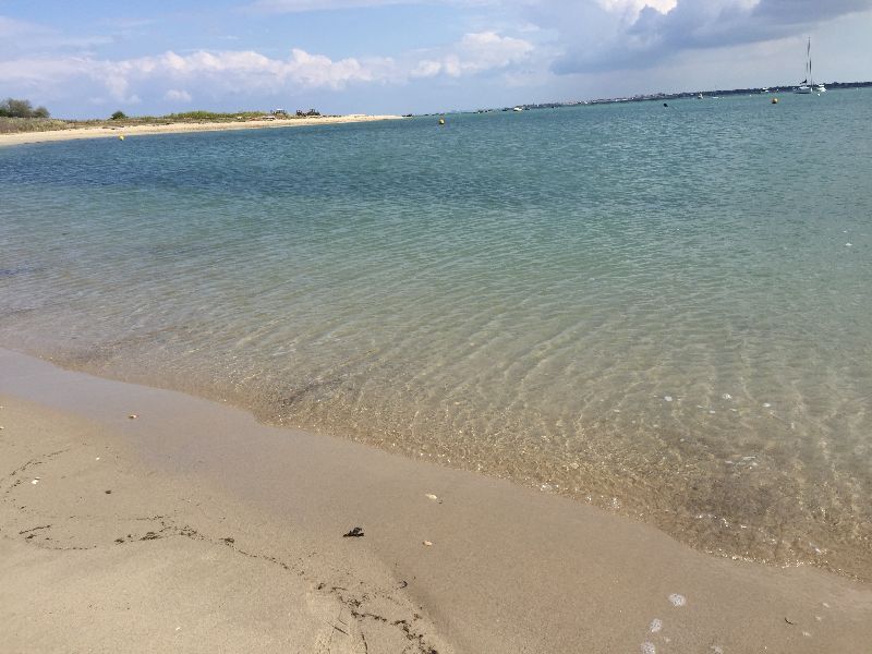 Photo 15 : AUTRE d'une maison située à Loix, île de Ré.