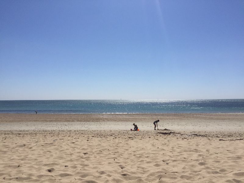 Photo 14 : AUTRE d'une maison située à Loix, île de Ré.