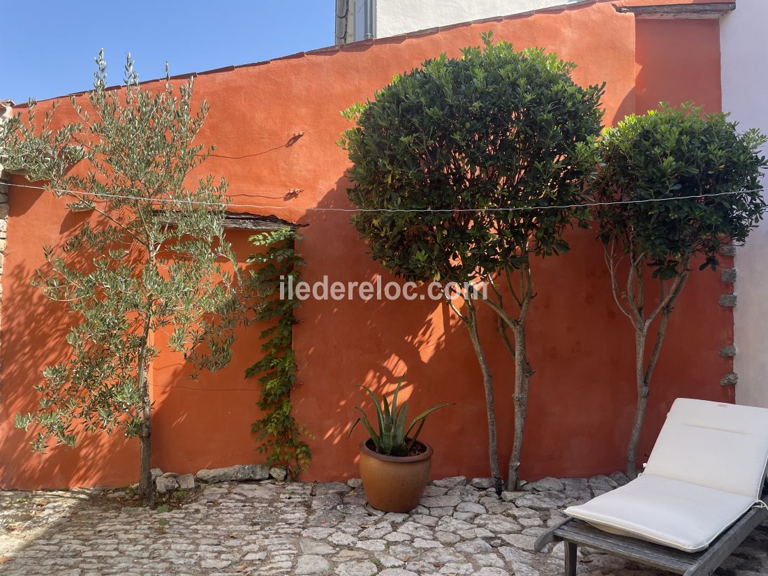 Photo 5 : PATIO d'une maison située à Saint-Clément-des-Baleines, île de Ré.