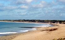 Photo 6 : NC d'une maison située à Saint-Clément-des-Baleines, île de Ré.