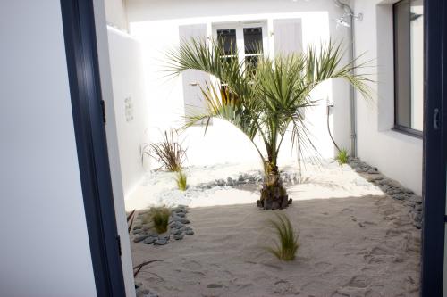 Photo 3 : PATIO d'une maison située à La Flotte, île de Ré.