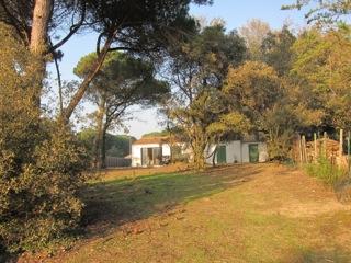 Photo 3 : NC d'une maison située à La Couarde-sur-mer, île de Ré.