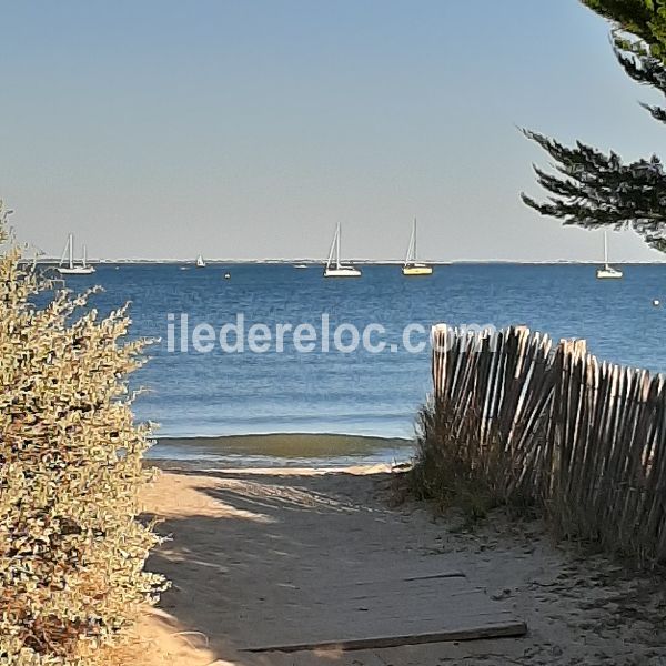 Photo 12 : AUTRE d'une maison située à Rivedoux-Plage, île de Ré.