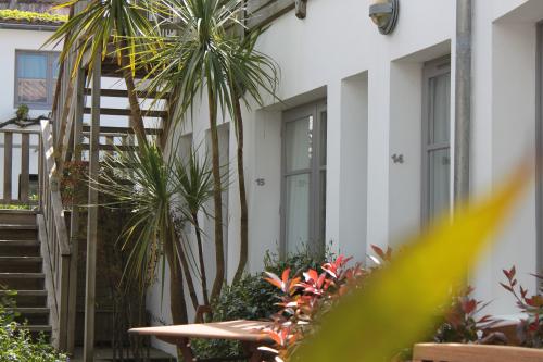 Photo 3 : JARDIN d'une maison située à La Couarde, île de Ré.