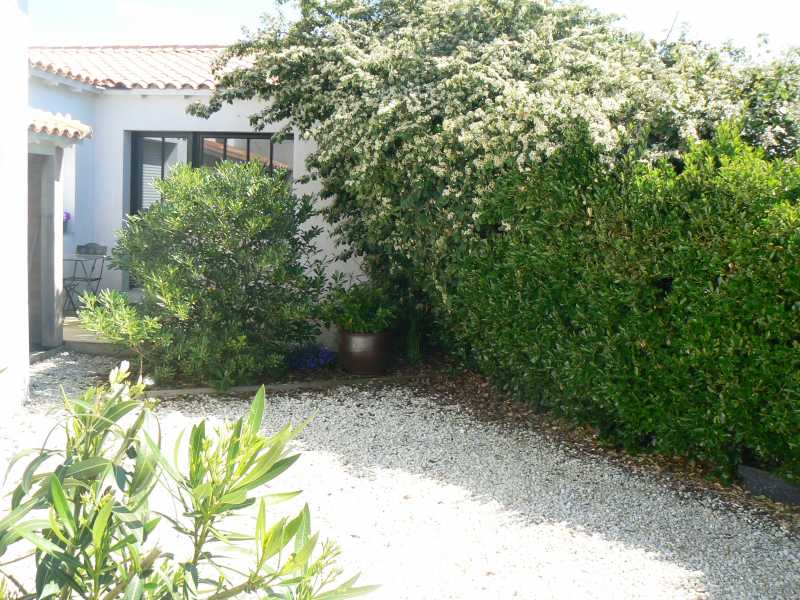 Photo 3 : JARDIN d'une maison située à Saint-Martin-de-Ré, île de Ré.