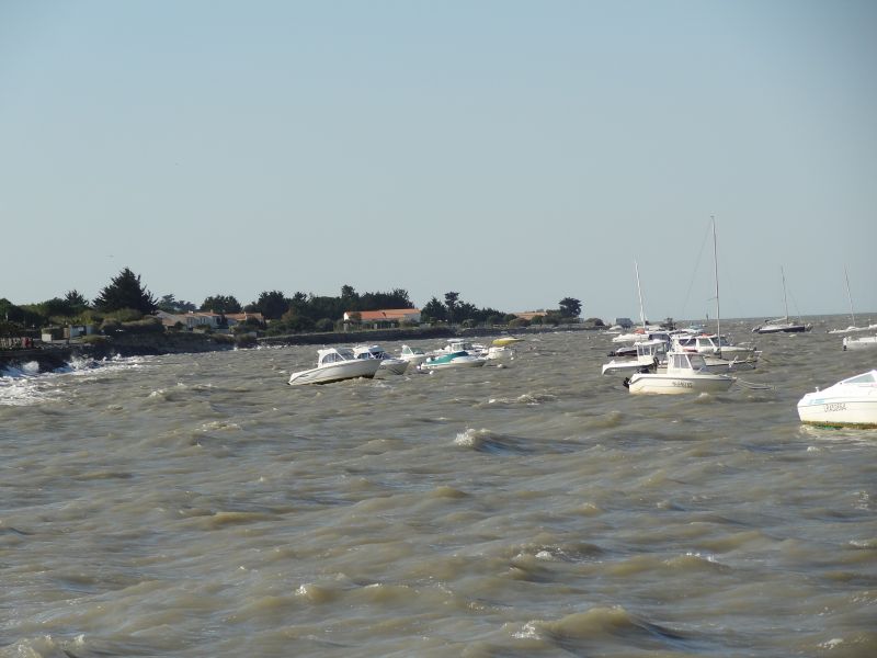 Photo 17 : NC d'une maison située à La Flotte-en-Ré, île de Ré.